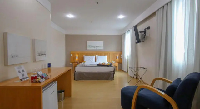 Номер Superior Belo Horizonte Plaza