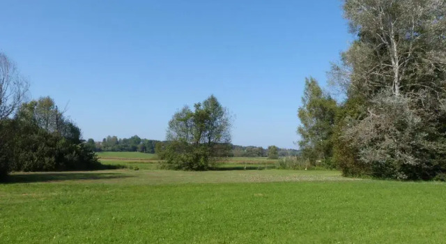 Студия Chiemsee Comfort-Bungalow mit Garten