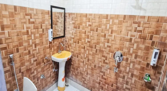 Номер Executive Hotel Krishna Manu Palace