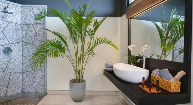 Номер Standard Lankavatara Ocean Retreat & Spa