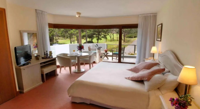 Двухместный номер Superior Hotel del Lago Golf & Art Resort