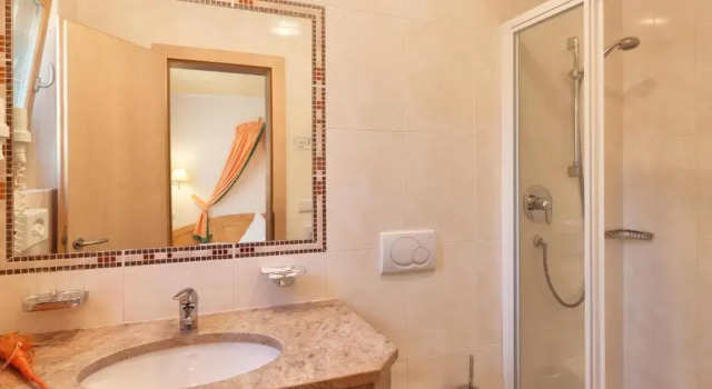 Двухместный номер Standard Hotel Theiner