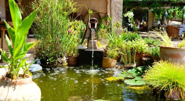 Бунгало Agroturismo Finca Sant Blai