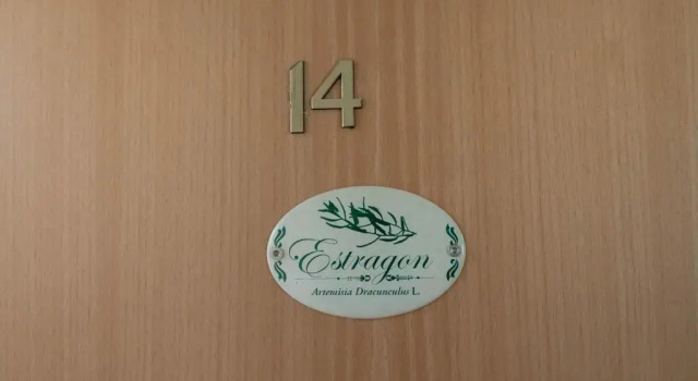 Номер Comfort Kräuterhotel Villa Vontenie