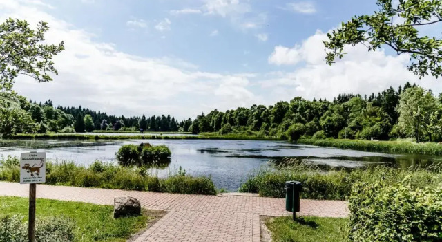 Haus am See HS 597, Забронировать Отель Ханенклее-Боксвизе Гослар