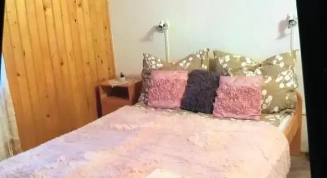 Номер Standard Ibis