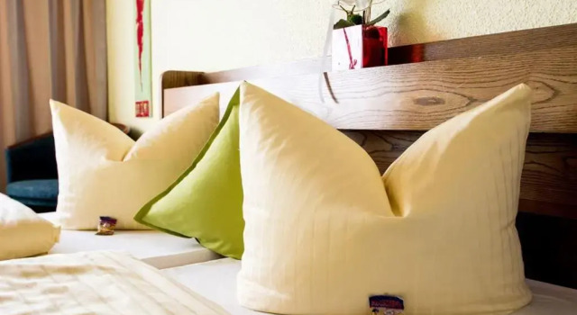 Трёхместный номер Standard Hotel Avenue Altenfurt