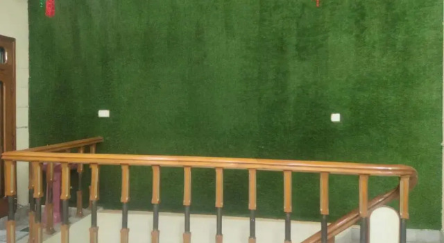 blue horse home, Book Hotel Amritsar Punjab