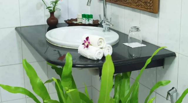 Номер Standard Somatheeram Ayurveda village