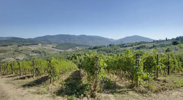 Студия Agriturismo La Presura