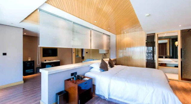 Люкс Deluxe Top Elites City Resort Spa Hotel