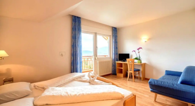 Двухместный номер Deluxe Hotel Garni Grüner Baum