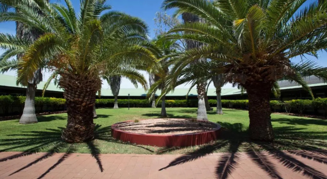 Двухместный номер Standard Mercure Alice Springs Resort