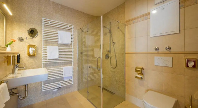 Полулюкс Hotel Rebstock