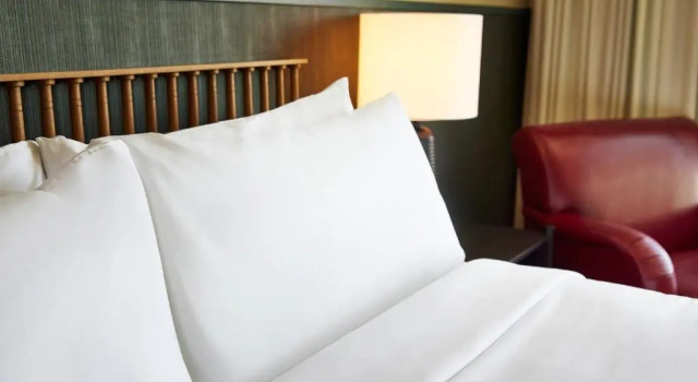 Четырёхместный номер Deluxe The Scarlet, Lincoln, a Tribute Portfolio Hotel
