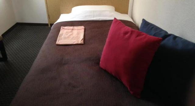 Одноместный номер Standard Nagano Plaza Hotel