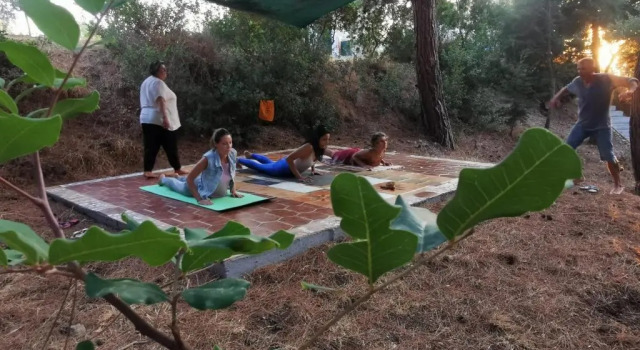 Коттедж Drolma Ling Nature Cabins