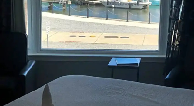 Номер Superior Historic Waterfront Marion Motor Lodge in downtown St Augustine