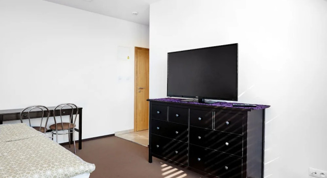 Habitación doble Estándar Bílichov