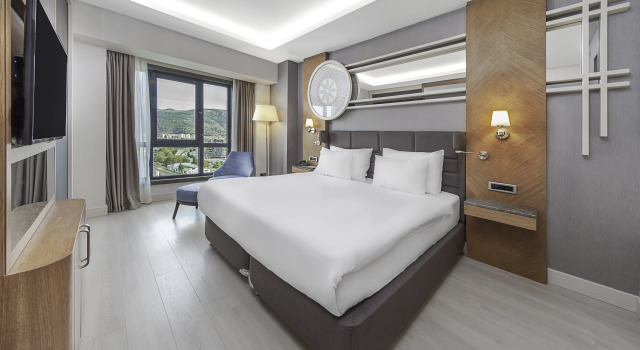 Dedeman Tokat