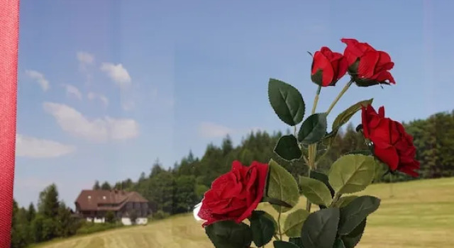 Люкс Gasthof Lafette