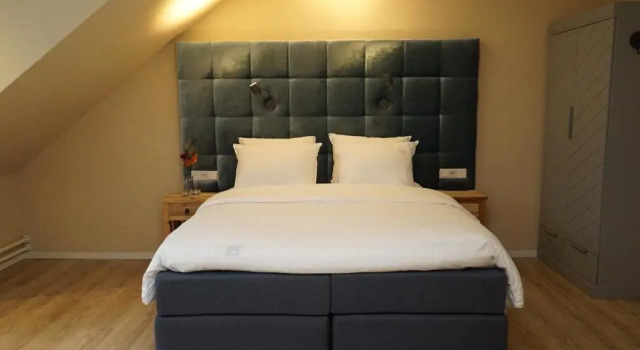 Двухместный номер Deluxe Hotel Hoevevoorde