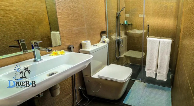 Двухместный номер Standard D Plus B&B Negombo