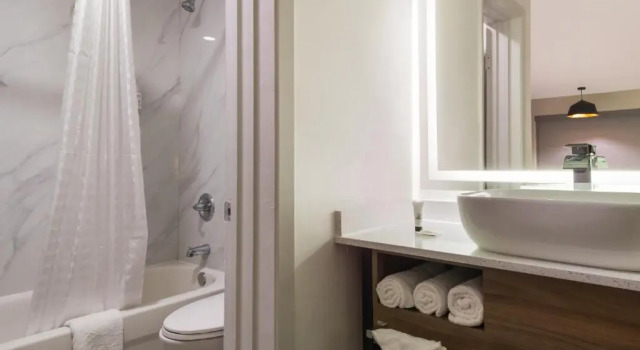 Люкс Signature Inn Houston Galleria