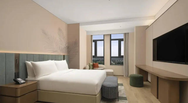 Люкс Deluxe Hilton Garden Inn Zhongwei Shapotou
