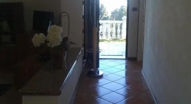 Apartment Golemac