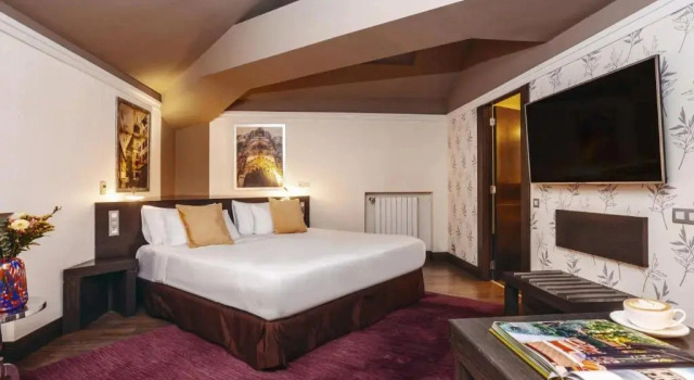 Двухместный номер Superior Мансарда Grand Palace Brno - Small Luxury Hotels of the World
