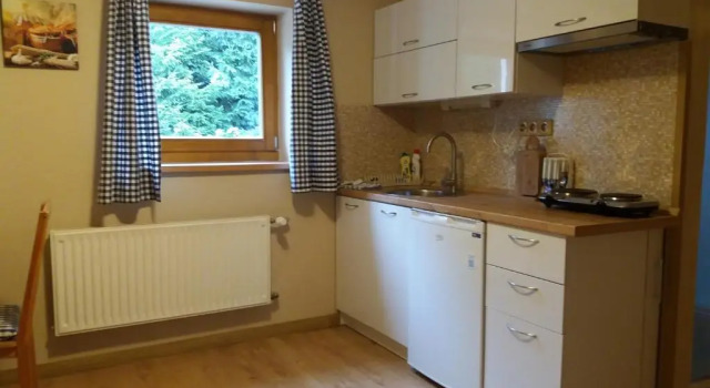 Apartamento 1 quarto Pension Rieger