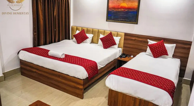 Номер Deluxe Divine Homestay