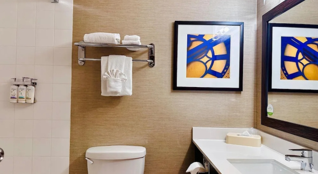 Двухместный номер Premium Holiday Inn Hotel & Suites Regina by IHG