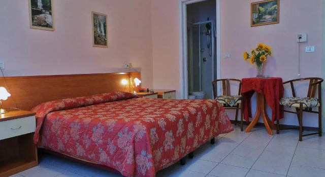 Двухместный номер Standard Hotel Roma