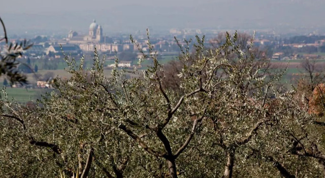 Villa Rosy, Varaa Villa Rivotorto Umbria