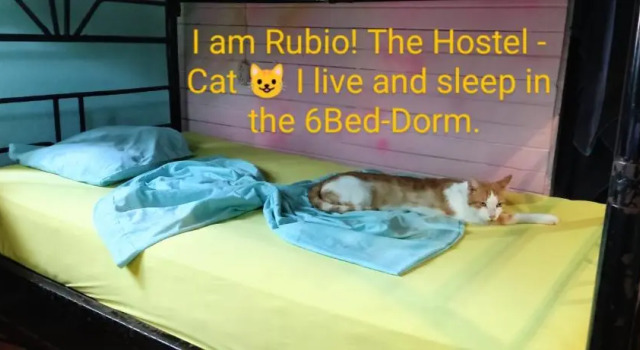 Кровать в общем номере с красивым видом из окна Matilori Hostel