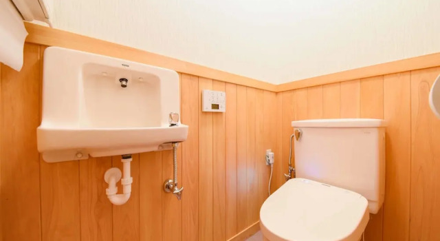 Номер Standard с видом на горы Shirahone Onsen Tsuruya Ryokan