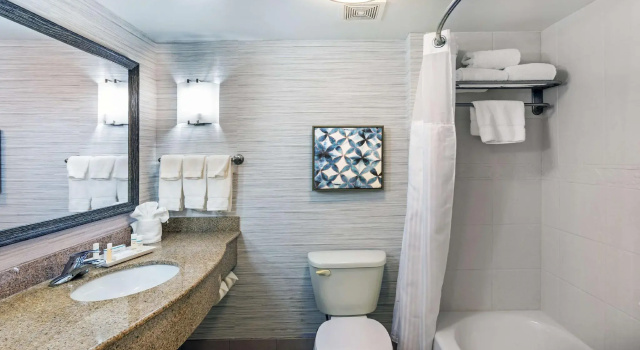 Четырёхместный номер Standard Hilton Garden Inn Aiken