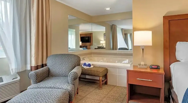 Номер Standard Comfort Inn & Suites Dimondale - Lansing