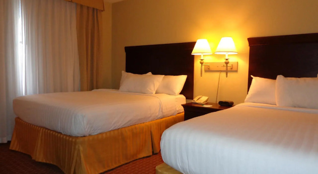 Двухместный люкс Euro-Suites Hotel