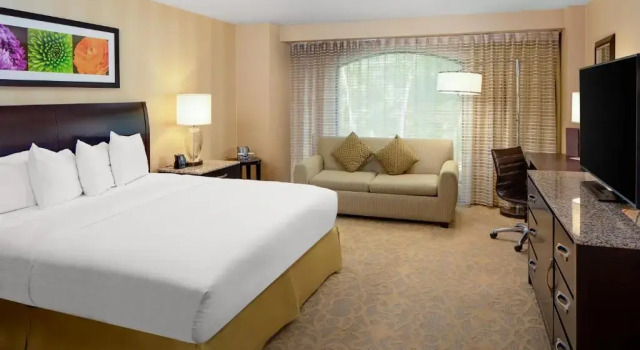 Двухместный номер Deluxe Hotel Zessa Orange County Airport, a DoubleTree by Hilton