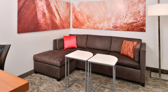 Двухместная студия SpringHill Suites by Marriott Sacramento Roseville