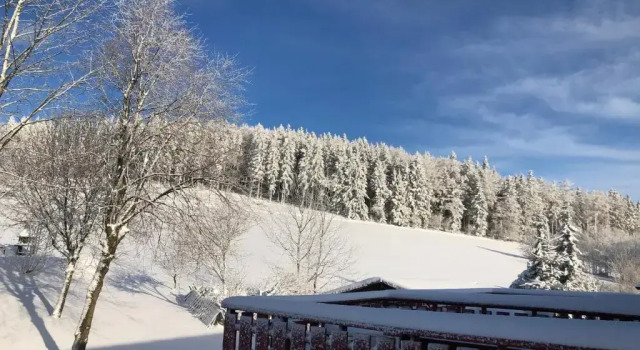 Двухместный номер Standard с балконом Berghaus Winterberg