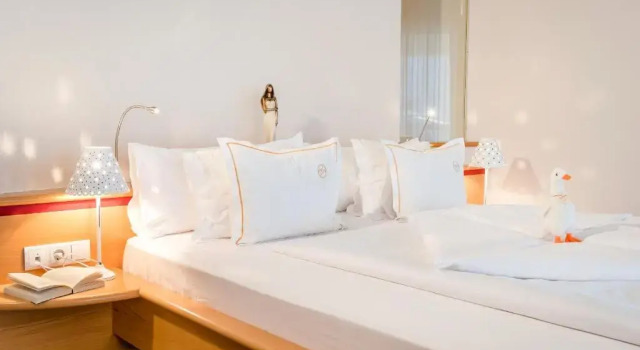 Одноместный полулюкс Hotel Ansitz Plantiz