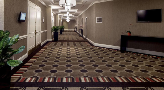 Номер Standard Hilton Houston Southwest