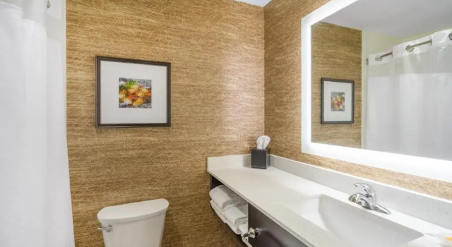 Номер Standard Holiday Inn - Terre Haute by IHG
