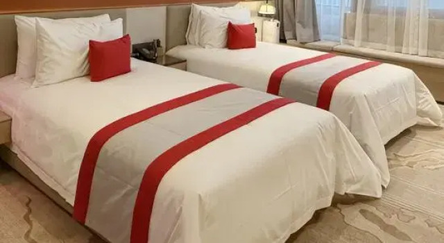 Люкс Pingdingshan Pingfa Maison New Century Hotel