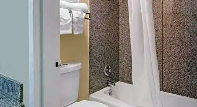 Четырёхместный номер Standard с видом на бассейн Clarion Hotel & Conference Center Tampa