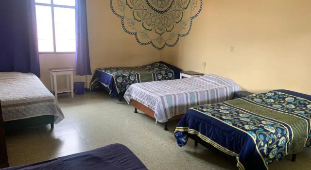 Кровать в общем номере Kasa Kiwi Hostel & Travel Agency